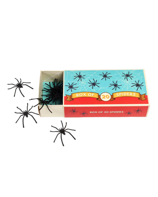 Box Of 20 Spiders