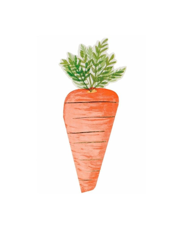 Carrot Napkins