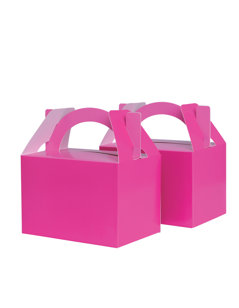 Flamingo Pink Little Lunch Box