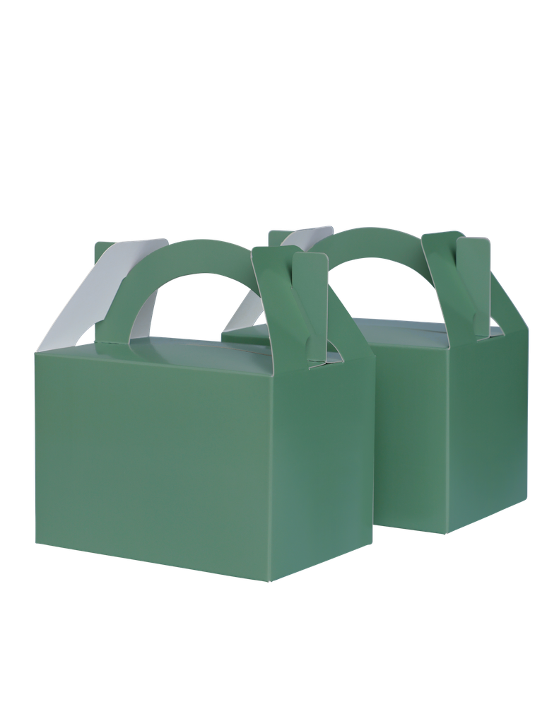 Sage Green Little Lunch Box