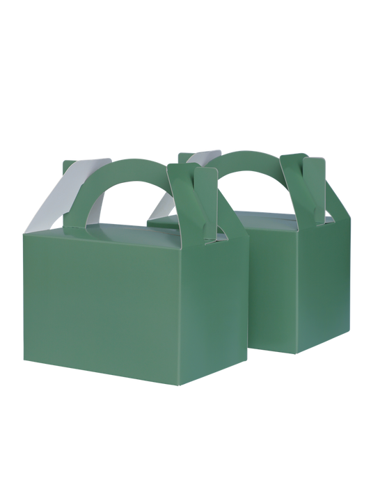 Sage Green Little Lunch Box