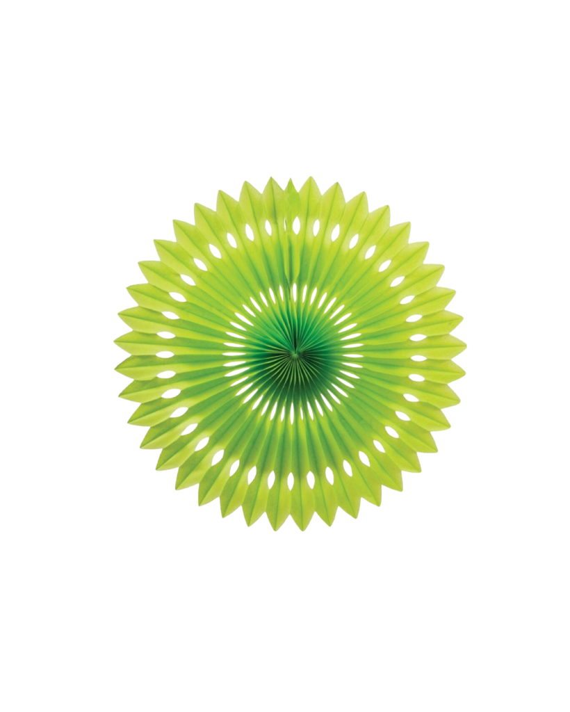 Small Lime Green Fan