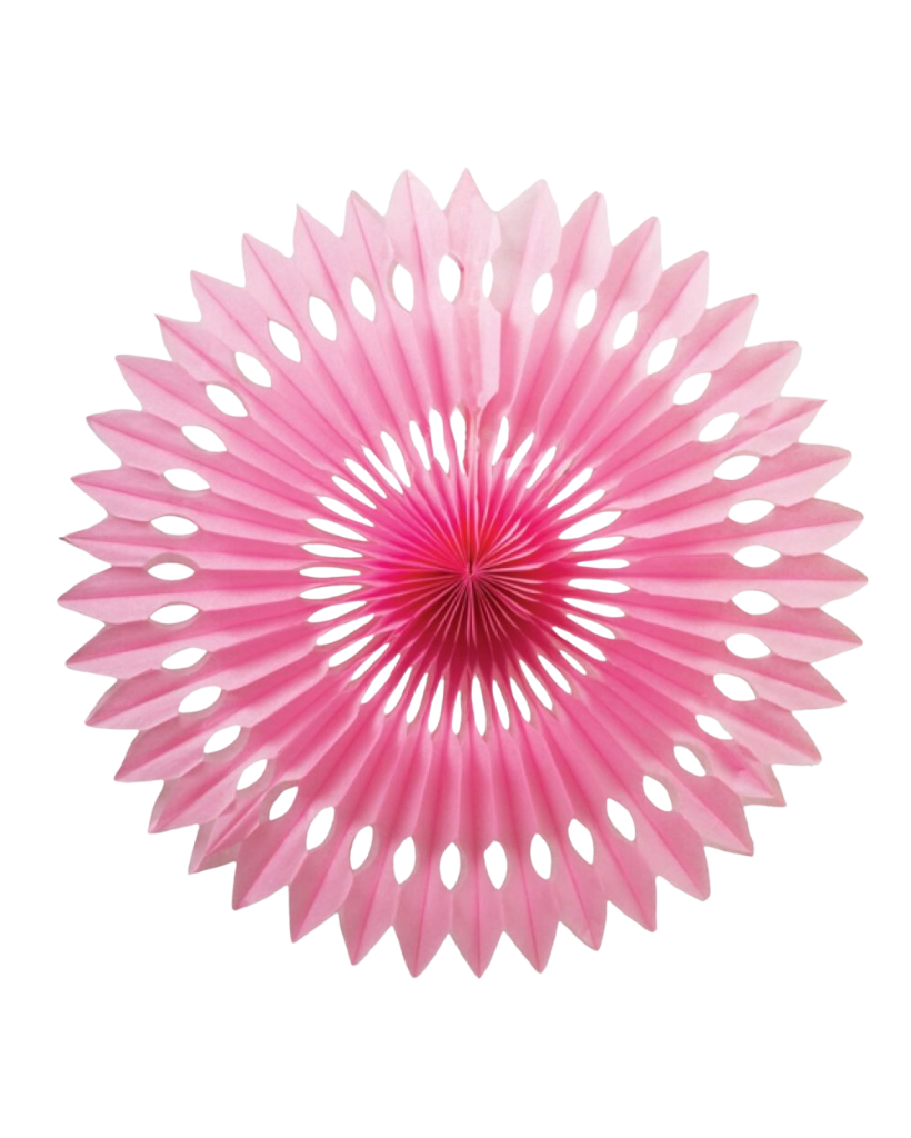 Large Classic Pink Fan