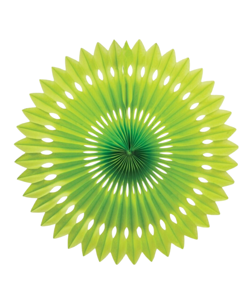 Large Lime Green Fan