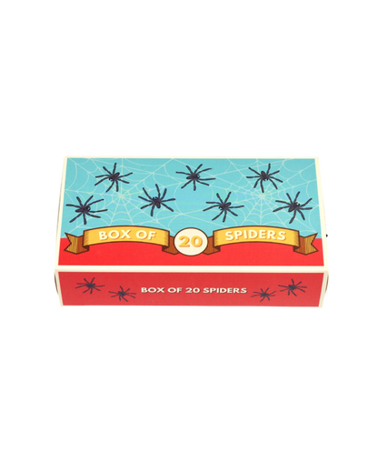 Box Of 20 Spiders