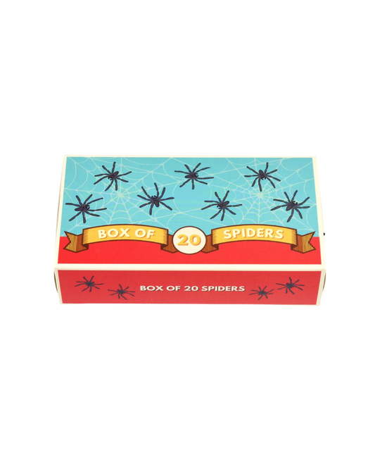 Box Of 20 Spiders