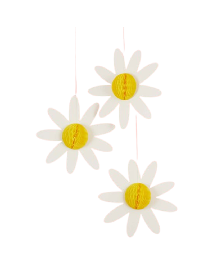 Ditsy Daisy Honeycomb Decorations