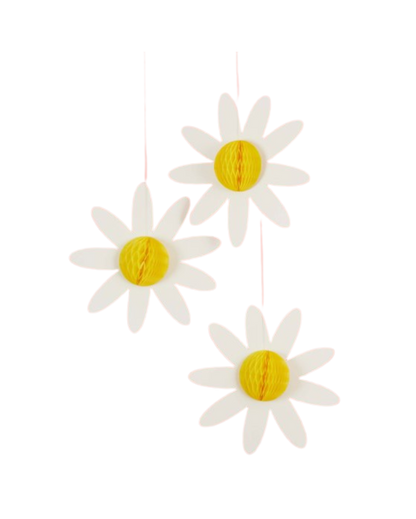 Ditsy Daisy Honeycomb Decorations