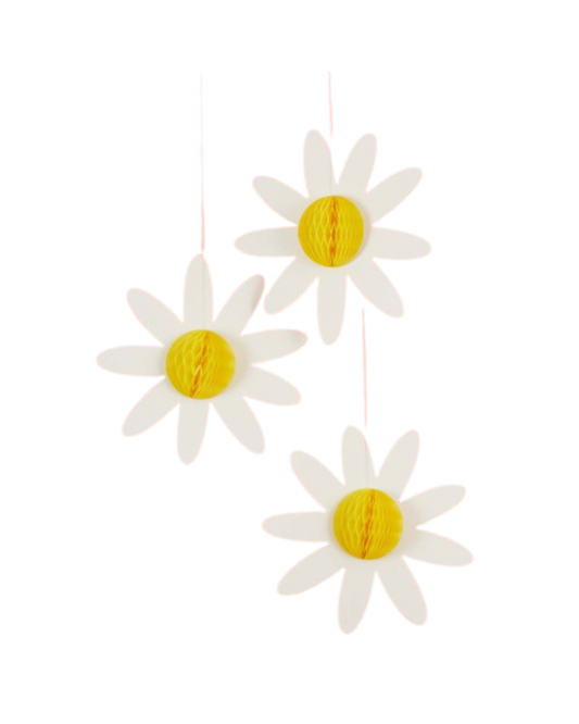 Ditsy Daisy Honeycomb Decorations