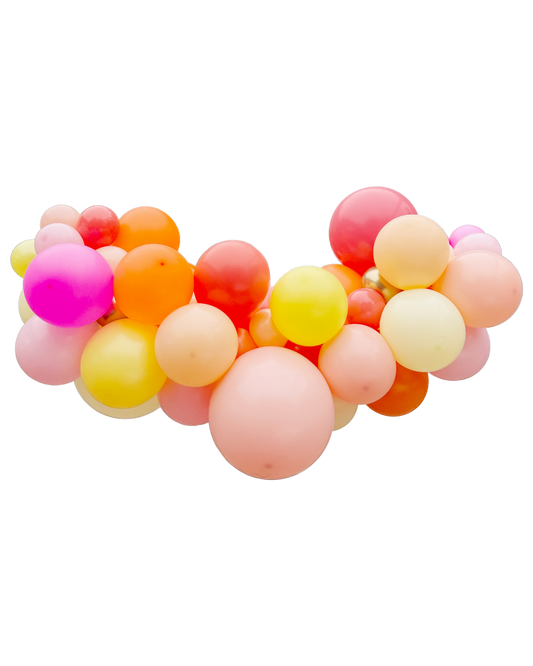 Medium Sorbet Balloon Garland