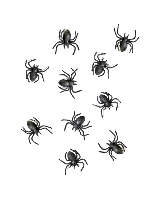 Spiders 10pk