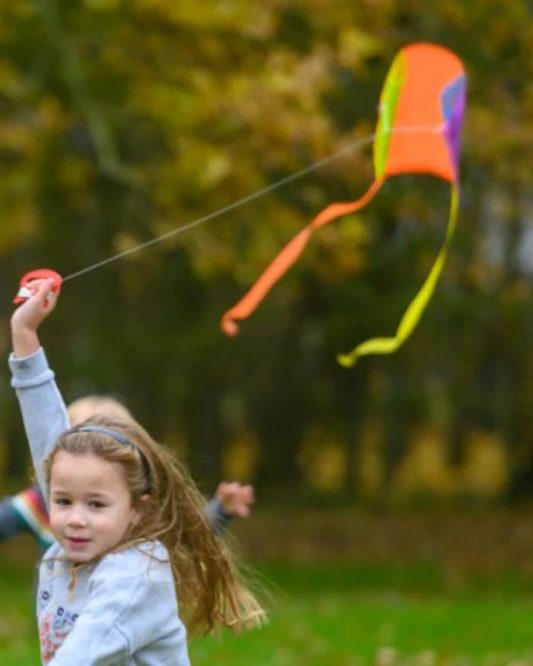 Pocket Kite