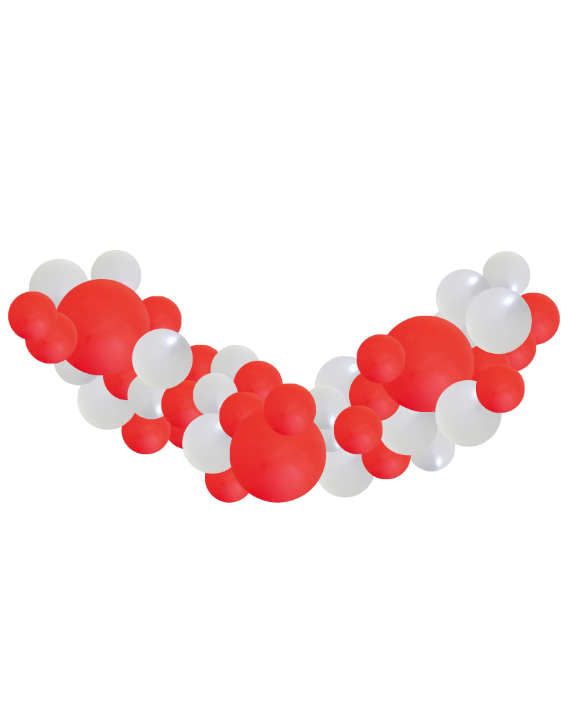 Medium Sydney Swans Balloon Garland Inflated