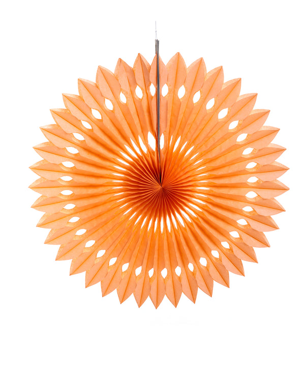 Large Apricot Fan