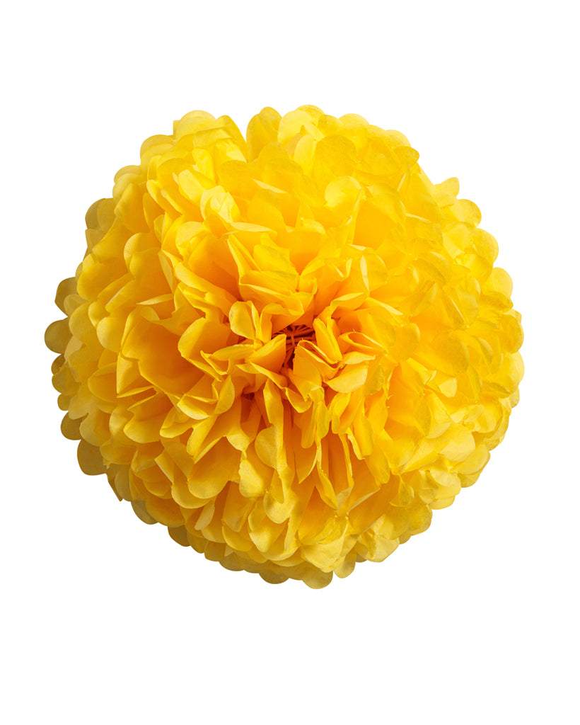 Yellow Tissue Paper Pom Pom